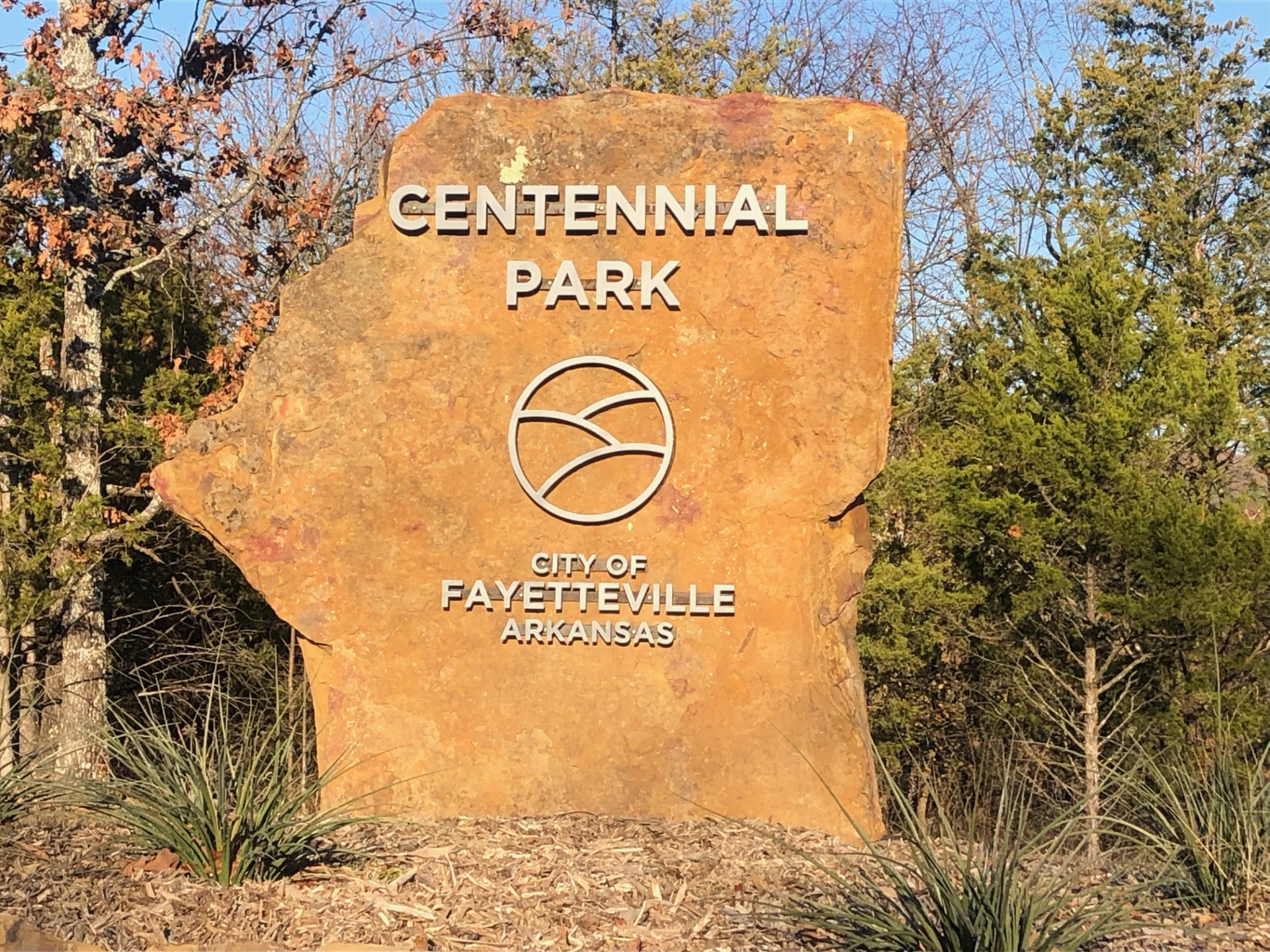 Cycling through Centennial Park